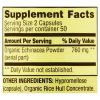 Spring Valley Echinacea Immune Health Dietary Supplement Vegetarian Capsules, 760 mg, 100 Count